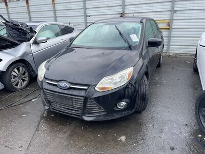 Catalog item POM062631