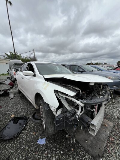 Catalog item SAC048600