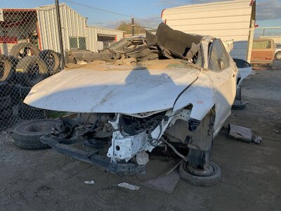 Catalog item FRE104589