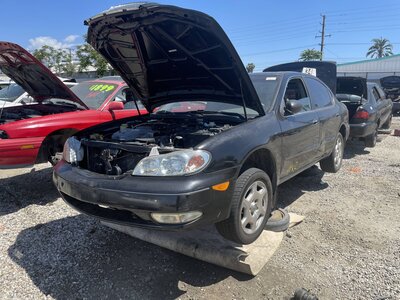 Catalog item POM063924