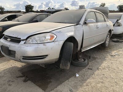 Catalog item FRE112597