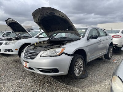 Catalog item POM063694