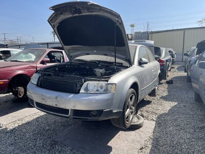 Catalog item POM063259