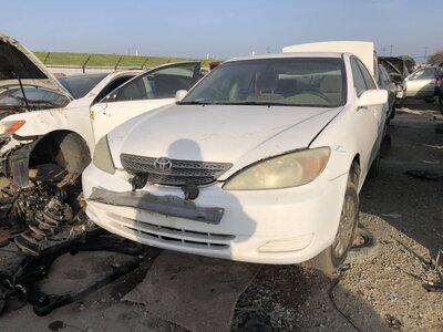 Catalog item FRE110619