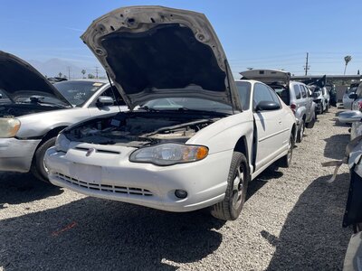 Catalog item POM063697