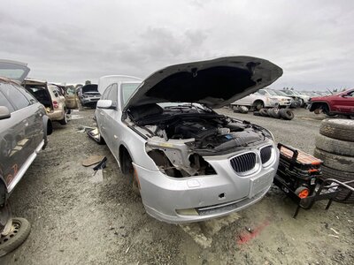 Catalog item SAC046631