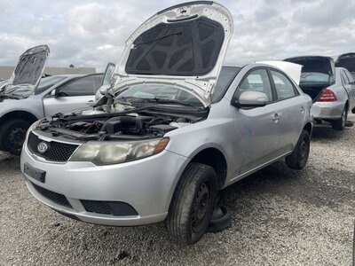 Catalog item POM063664