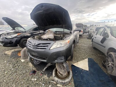 Catalog item SAC046557