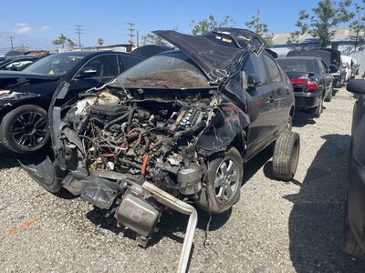 Catalog item POM063770