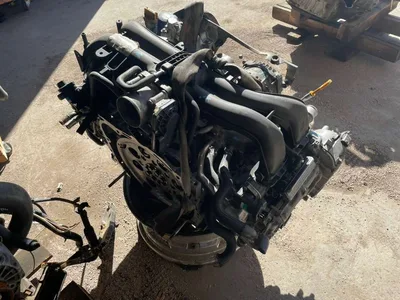 Catalog item POM058138