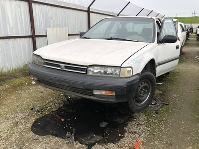 Catalog item FRE110298