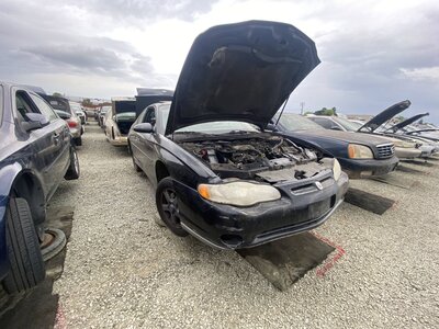 Catalog item SAC048085