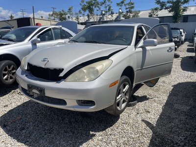 Catalog item POM063889