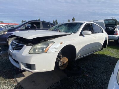 Artículo del catálogo SAC045550