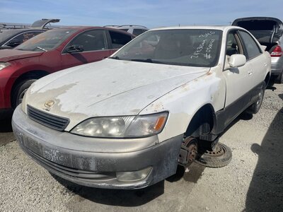 Artículo del catálogo STK056509