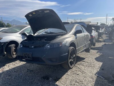 Catalog item POM063581