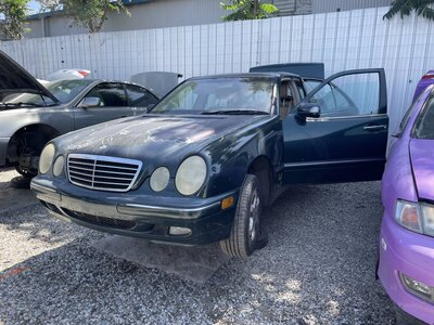 Catalog item POM064944