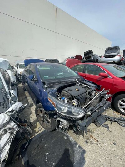 Catalog item POM060909