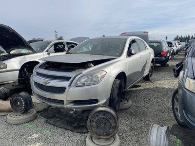 Catalog item SAC045592