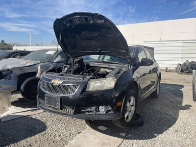 Catalog item POM063584