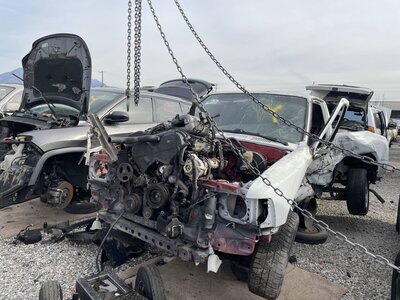 Catalog item POM062142