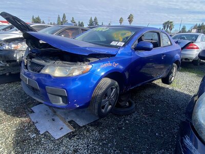 Artículo del catálogo SAC035998