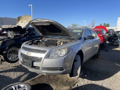 Catalog item POM062896