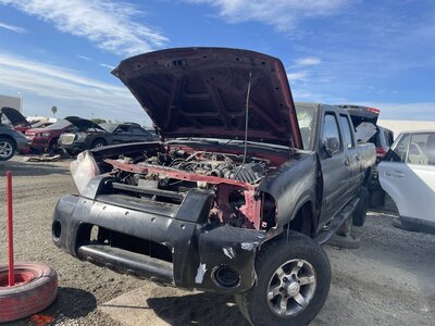 Catalog item POM060965