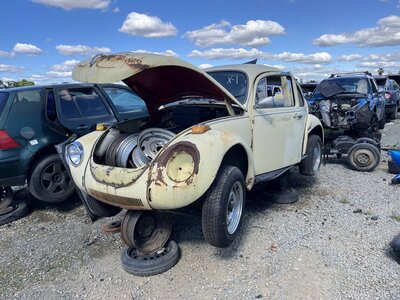 Catalog item SAC048298