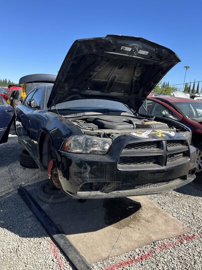 Catalog item SAC047512