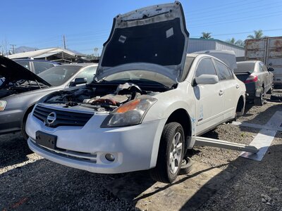 Catalog item POM063163