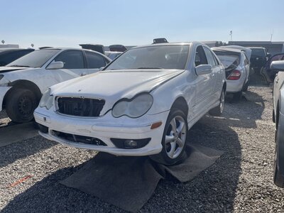 Catalog item POM063479