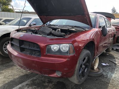 Catalog item FRE113208