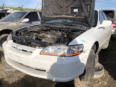 Catalog item FRE111318