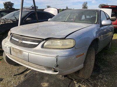 Catalog item FRE111247