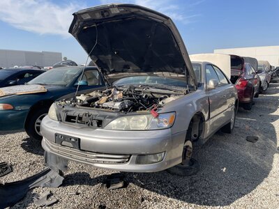 Catalog item POM063340