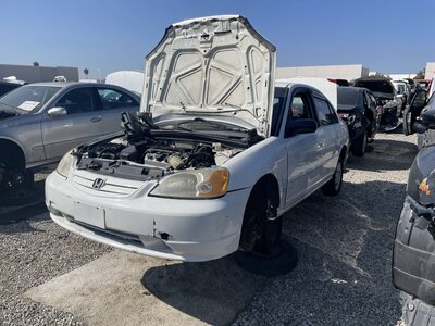 Catalog item POM062934