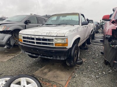 Catalog item SAC046737