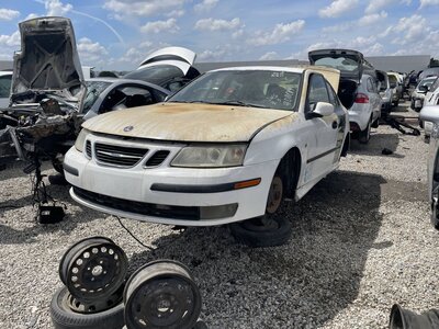 Catalog item POM063834