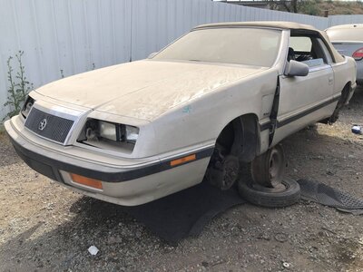 Catalog item FRE112232