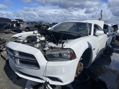 Catalog item STK055996