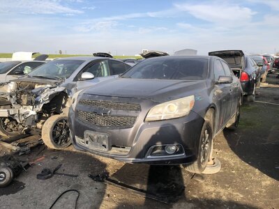 Catalog item FRE108168