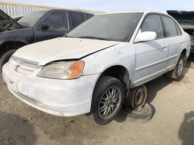 Catalog item FRE112371