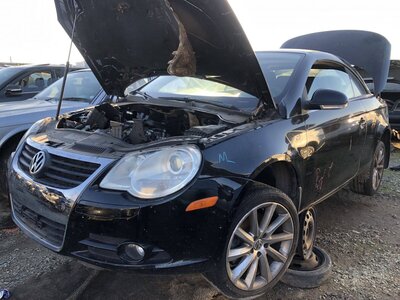 Catalog item FRE109981