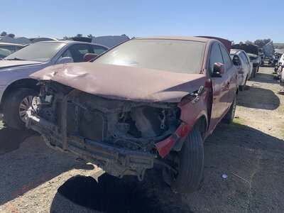 Catalog item FRE111494