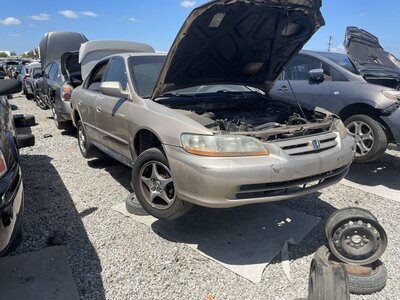 Catalog item POM063955