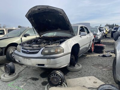 Catalog item SAC046342