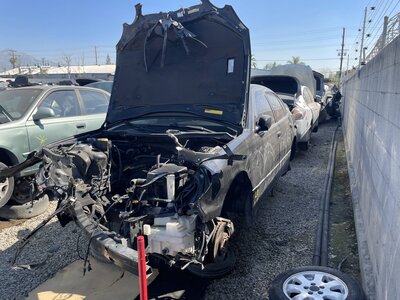 Catalog item POM063246