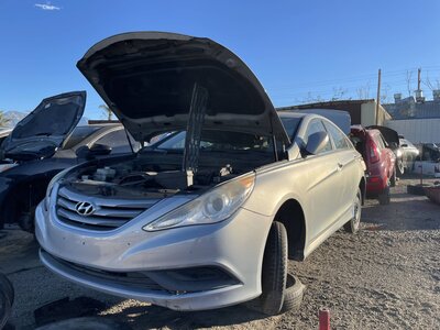 Catalog item POM061763