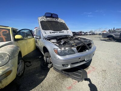 Catalog item SAC047213